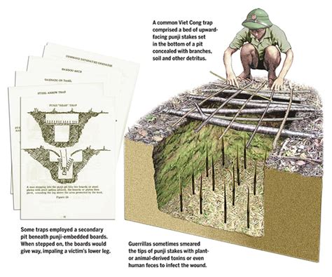 punji stakes|traps used in vietnam.